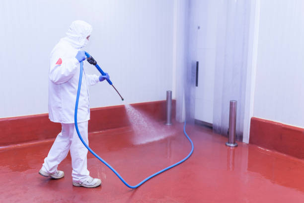Best Patio and Deck Pressure Washing  in Mehlville, MO