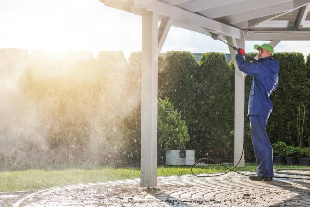 Animal Enclosure Cleaning in Mehlville, MO