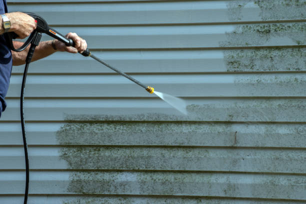 Best Dumpster Area Cleaning  in Mehlville, MO